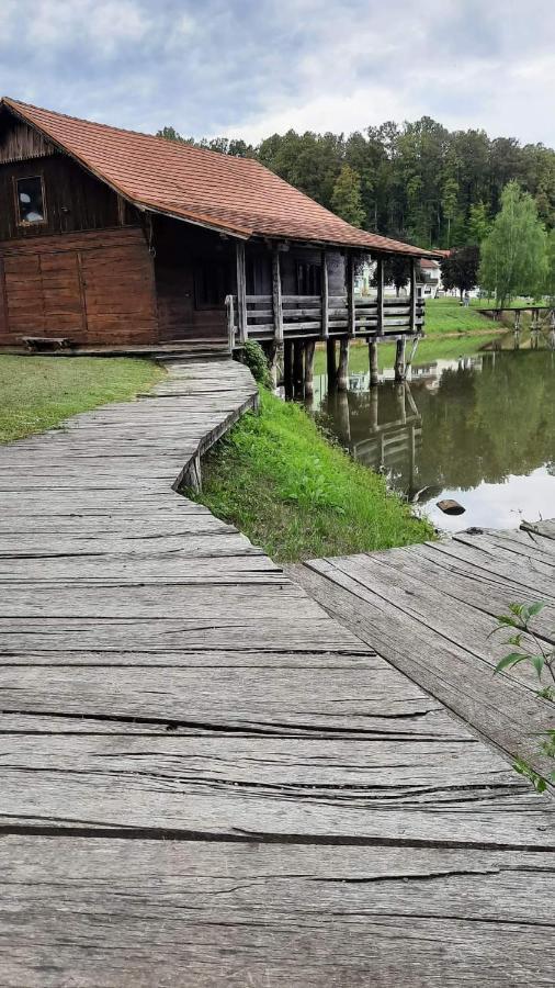 Apartman Abramovic Topusko Εξωτερικό φωτογραφία